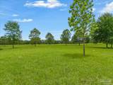 0 Dunsford Rd - Photo 4