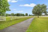 3981 Stefani Rd - Photo 52