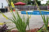 6284 Starhill Dr - Photo 42
