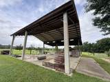 3010 Hwy 97 - Photo 15