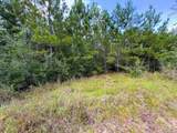 Lot 23 Buffalo Ridge Rd - Photo 10