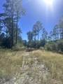  Robinson Point Rd - Photo 7