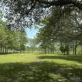 5816 Shady Bayou Ln - Photo 2