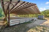 1911 Mathison Rd - Photo 5