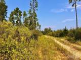 Lot 21 Morgans Branch - Photo 6