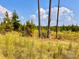 Lot 22 Morgans Branch - Photo 7