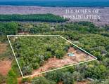 10246 Nichols Lake Rd - Photo 1