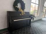 224 Garden St - Photo 26