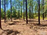 LOT 87 Pine Preserve Ln - Photo 12