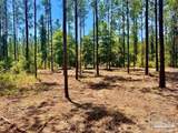 LOT 87 Pine Preserve Ln - Photo 13