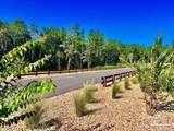 LOT 87 Pine Preserve Ln - Photo 15