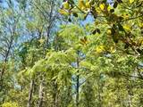 Lot 8 Creekdown Ln - Photo 21