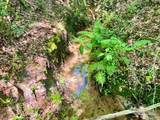 Lot 8 Creekdown Ln - Photo 22