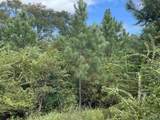 5700 Block Pine Forest Rd - Photo 12