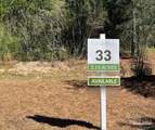 Lot 33 Pine Preserve Ln - Photo 4