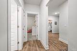 4097 Heart Pine Ln - Photo 35