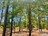 LOT 87 Pine Preserve Ln - Photo 10
