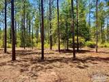 LOT 87 Pine Preserve Ln - Photo 11