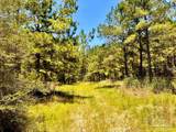 Lot 13 Naturewalk Dr - Photo 26