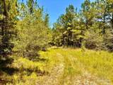 Lot 13 Naturewalk Dr - Photo 27