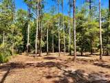 Lot 18 Pine Preserve Ln - Photo 10