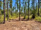 Lot 18 Pine Preserve Ln - Photo 11