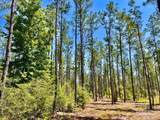 Lot 18 Pine Preserve Ln - Photo 12