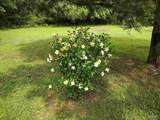 4611 Gunter Rd - Photo 27