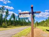 LOT 87 Pine Preserve Ln - Photo 9