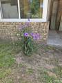 4301 Pace Ln - Photo 43