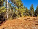 Lot 2 Denali Rd - Photo 15
