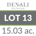 Lot 13 Denali Rd - Photo 5