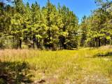 Lot 13 Naturewalk Dr - Photo 14