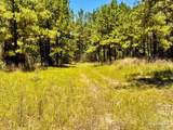 Lot 13 Naturewalk Dr - Photo 15