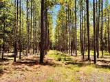 Lot 13 Naturewalk Dr - Photo 16