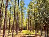 Lot 13 Naturewalk Dr - Photo 17