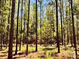 Lot 13 Naturewalk Dr - Photo 20