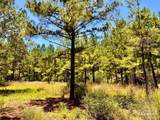 Lot 13 Naturewalk Dr - Photo 21