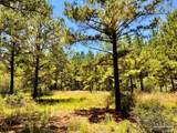 Lot 13 Naturewalk Dr - Photo 22