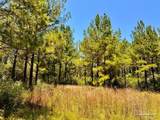 Lot 13 Naturewalk Dr - Photo 23