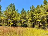 Lot 13 Naturewalk Dr - Photo 24