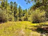 Lot 13 Naturewalk Dr - Photo 25