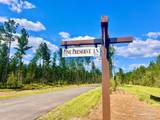 Lot 17 Pine Preserve Ln - Photo 3