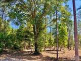 Lot 17 Pine Preserve Ln - Photo 8