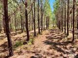 Lot 90 Pine Preserve Ln - Photo 10