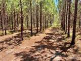 Lot 90 Pine Preserve Ln - Photo 11