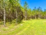 Lot 90 Pine Preserve Ln - Photo 12
