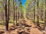 Lot 90 Pine Preserve Ln - Photo 8