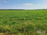 0 Jesse Allen Rd - Photo 7