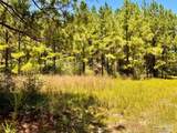 Lot 13 Naturewalk Dr - Photo 12